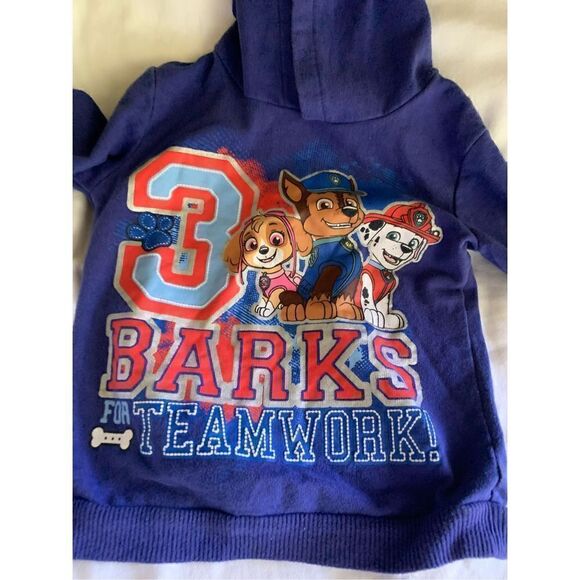 Paw Patrol Hoodie - Picture 3 of 6